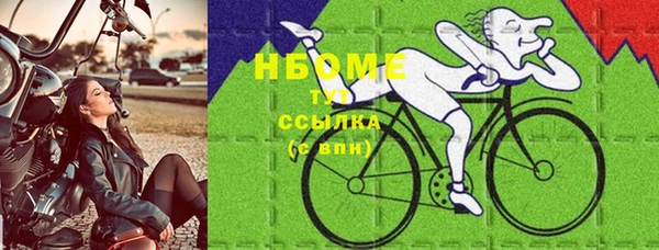 стафф Покачи