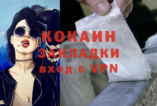 стафф Покачи