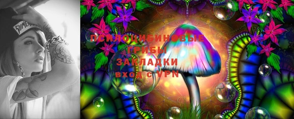 МДПВ Валдай