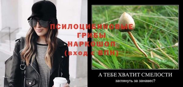 гидропоника Покровск
