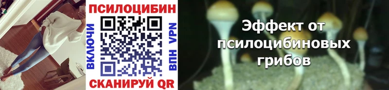 Псилоцибиновые грибы мицелий  Бирюсинск 